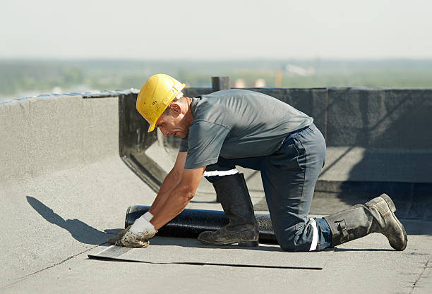 Best Commercial Insulation in Bassett, VA