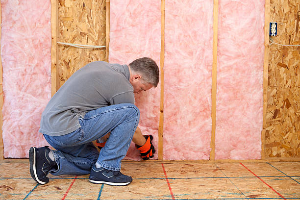Best Eco-Friendly Insulation in Bassett, VA