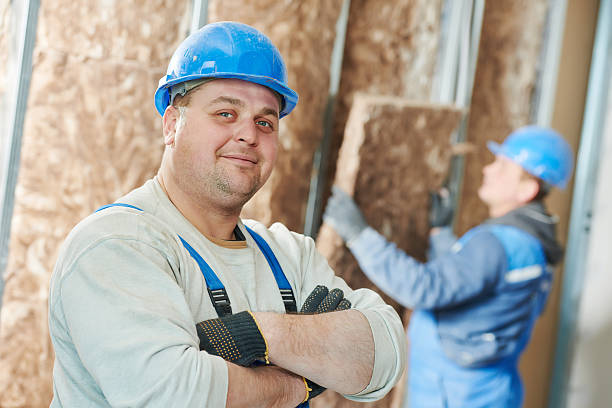 Best Geographic-Specific Insulation Services in Bassett, VA