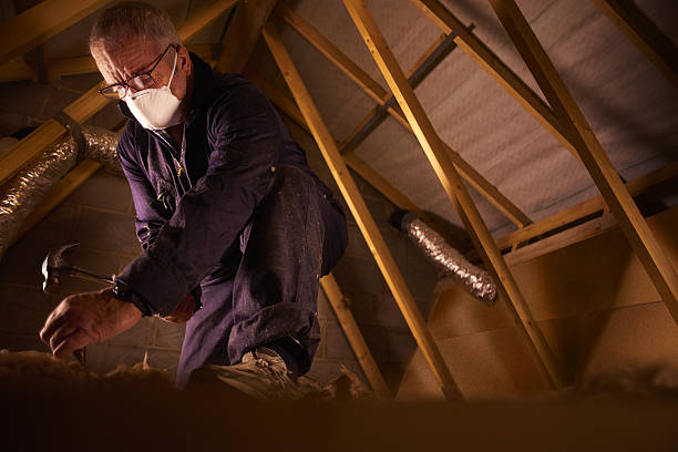 Best Specialized Insulation Services in Bassett, VA