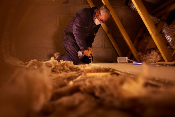 Best Specialized Insulation Services in Bassett, VA